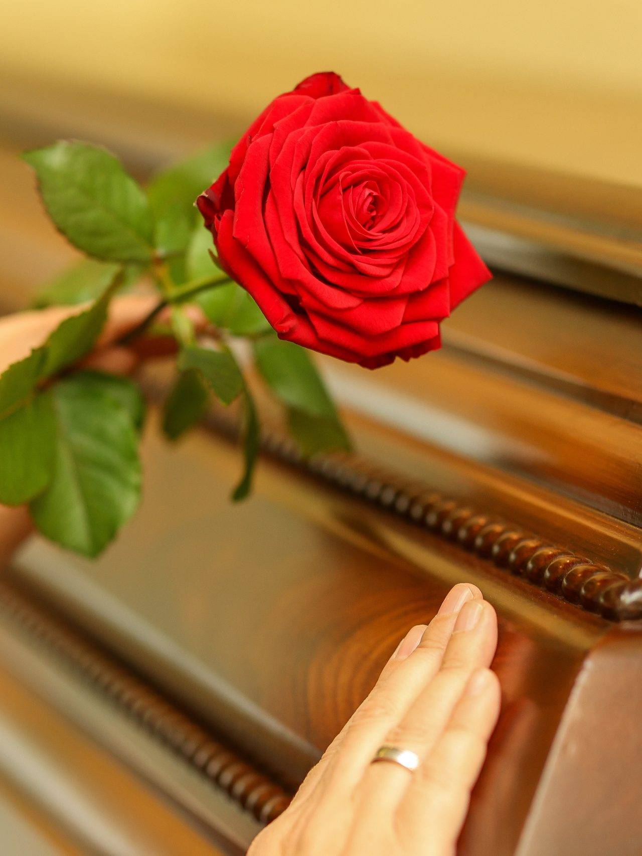 Hand auf Sarg mit roter Rose