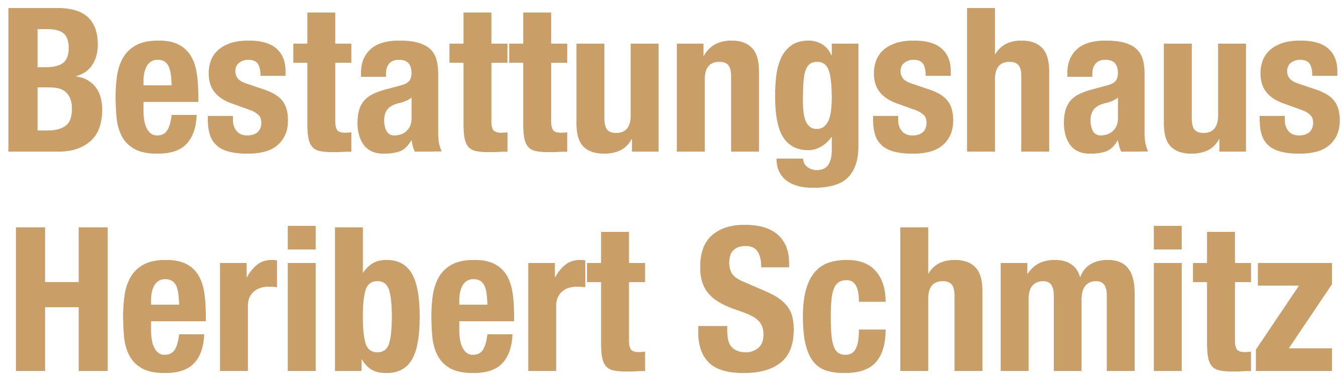 Logo Heribert Schmitz